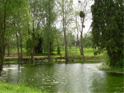 Photos